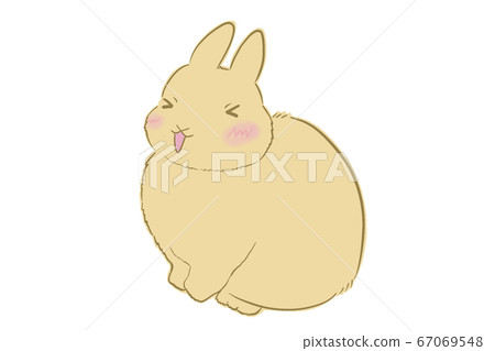 可愛的兔子的插圖 67069548