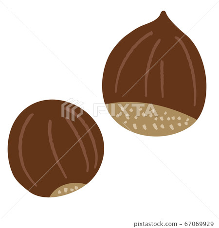 栗子和簡單的蔬菜插圖 栗子和簡單的蔬菜插圖 67069929