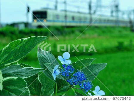 Tsuyu day car window commuter train 67070442