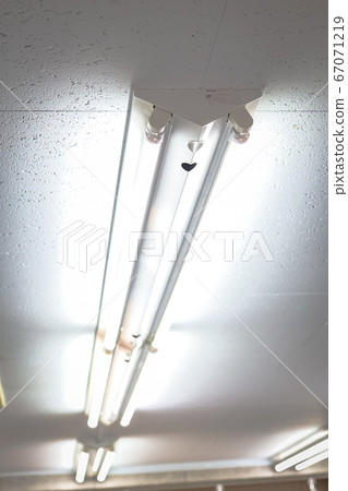 Fluorescent lamp Fluorescent lamp 67071219