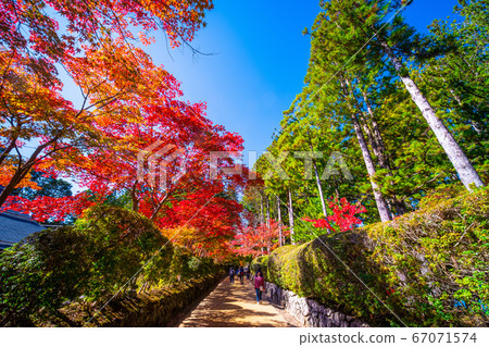 Koyasan 67071574