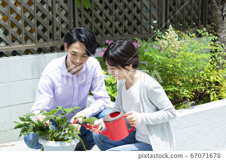 Garden flowers flowerpot gardening 67071678