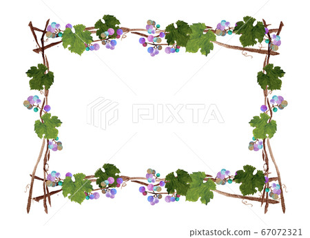 水彩領域葡萄框架 水彩領域葡萄框架 67072321