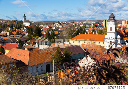 Aerial view of Eger with Servite Church 67073125