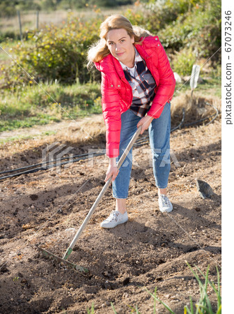 Woman planting young seeds in her organic plantation 67073246