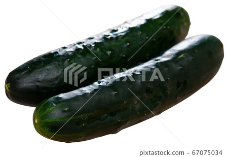 Fresh green cucumbers 67075034