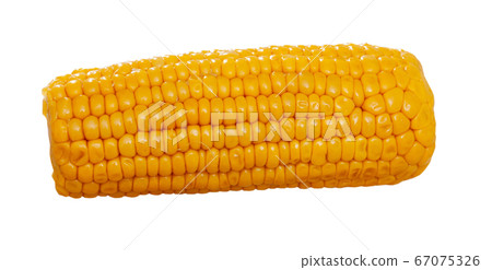 Boiled sweet corn 67075326