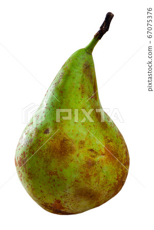 Green pear 67075376