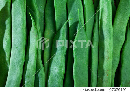 Fresh green beans on wooden surface in home kitchen 67076191
