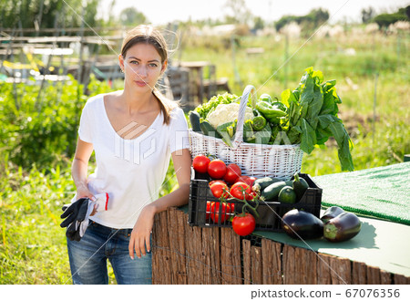 Portrait of young woman gardener with harvest of vegetables Portrait of young woman gardener with harvest of vegetables 67076356