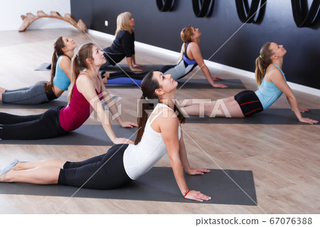 Females exercising during yoga class Females exercising during yoga class 67076388