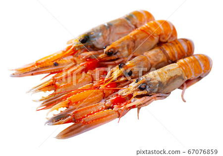 Several lobsters Several lobsters 67076859