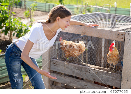 Smiling young female proffesional farmer near chicken house Smiling young female proffesional farmer near chicken house 67077065