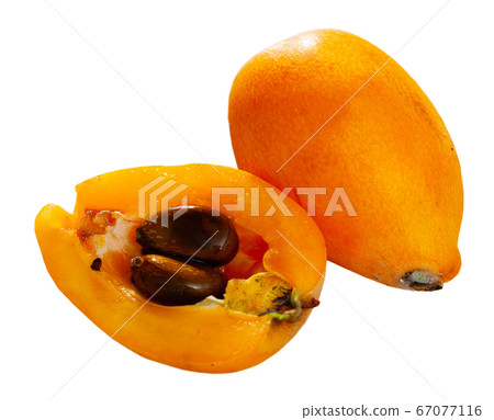 Closeup of whole ripe yellow loquat. Vitamin fruits 67077116