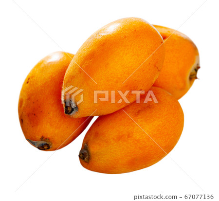 Loquat fruit or chinese plum 67077136