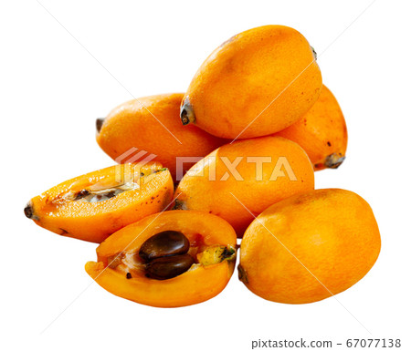 Loquat 67077138