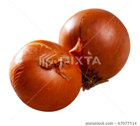 Whole fresh onion bulbs 67077514