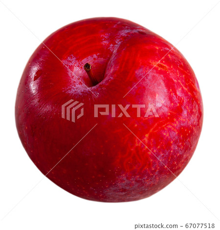 Sweet red plums Sweet red plums 67077518