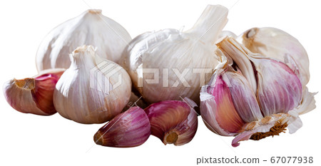 Image of fresh garlic Image of fresh garlic 67077938