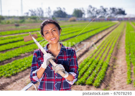 Smiling Latina standing on farm field with hoe Smiling Latina standing on farm field with hoe 67078293