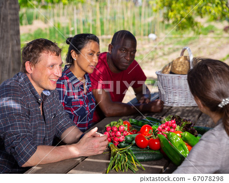 Farmers talking while sitting at table in the garden Farmers talking while sitting at table in the garden 67078298
