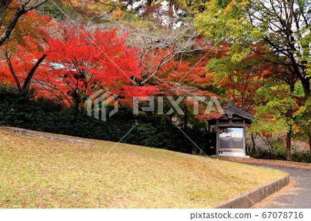 谷根沼山華嚴寺41(岐阜縣宜比郡比美川町谷宮)秋葉椿山華嚴寺。 谷根沼山華嚴寺41(岐阜縣宜比郡比美川町谷宮)秋葉椿山華嚴寺。 67078716