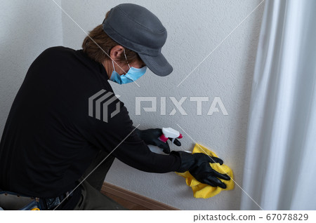 Wallpaper cloth cleaning 67078829