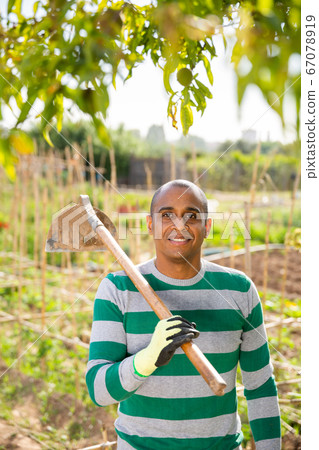 Pakistani man gardener working at land with garden mattock Pakistani man gardener working at land with garden mattock 67078919