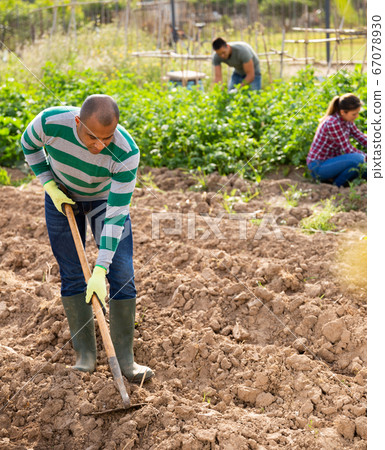 Indian man gardener working at land with garden mattock 67078930