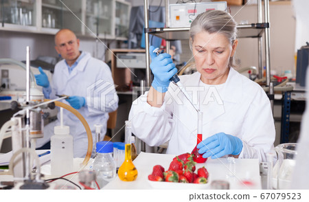 Female geneticist conducting experiments with fruits and vegetables Female geneticist conducting experiments with fruits and vegetables 67079523