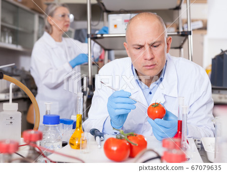 Scientist checking agricultural products 67079635