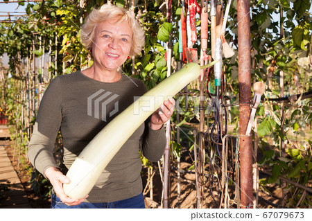 Mature woman showing long zucchini 67079673