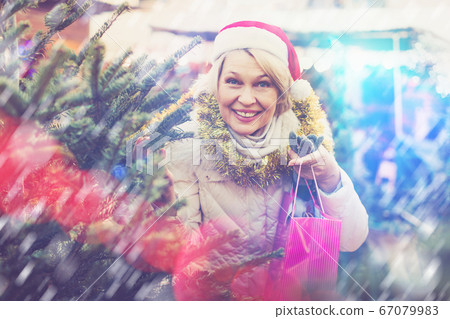 Adult woman is choosing Christmas tree in the market Adult woman is choosing Christmas tree in the market 67079983