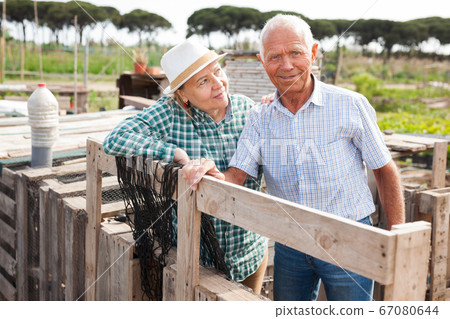 Portrait of a happy elderly couple in the garden Portrait of a happy elderly couple in the garden 67080644