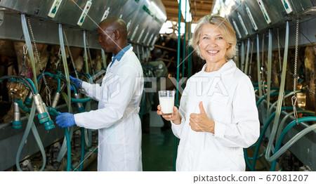 Farm female milkmaids with fresh milk standing near cow milking machines Farm female milkmaids with fresh milk standing near cow milking machines 67081207