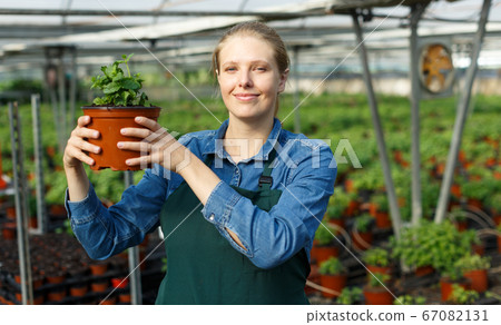 Female farmer posing in glasshouse 67082131