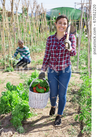 Young woman gardner holding basket with harvest Young woman gardner holding basket with harvest 67082220