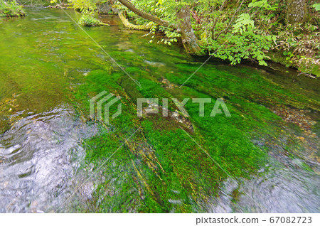 Kamikochi Shimizu River 67082723