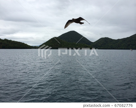 Landscape with seagulls Landscape with seagulls 67082776