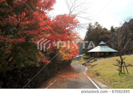 秋葉56谷谷山華嚴寺(岐阜縣I美郡比美川町谷g) 秋葉56谷谷山華嚴寺(岐阜縣I美郡比美川町谷g) 67082895