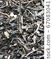 Driftwood 67083041