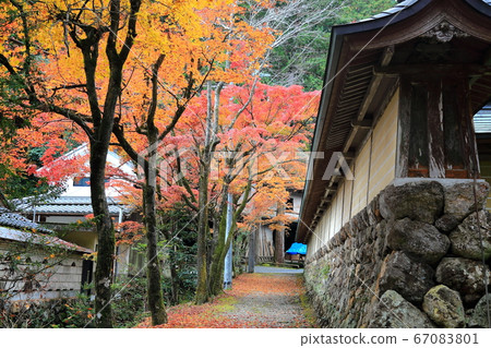 谷淺山華嚴寺,秋葉66歲(岐阜縣I美郡I川町谷g) 谷淺山華嚴寺,秋葉66歲(岐阜縣I美郡I川町谷g) 67083801