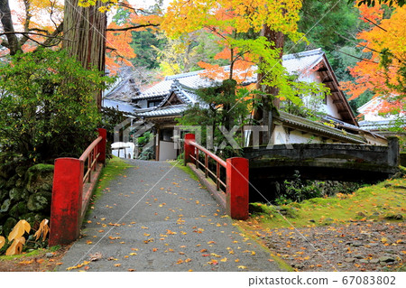 谷淺山華嚴寺67歲(岐阜縣Prefecture美郡gun川町神谷) 谷淺山華嚴寺67歲(岐阜縣Prefecture美郡gun川町神谷) 67083802