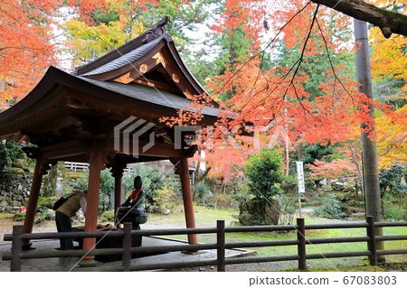 谷根山華嚴寺,68,秋葉(岐阜縣I美郡比美川町谷g) 谷根山華嚴寺,68,秋葉(岐阜縣I美郡比美川町谷g) 67083803