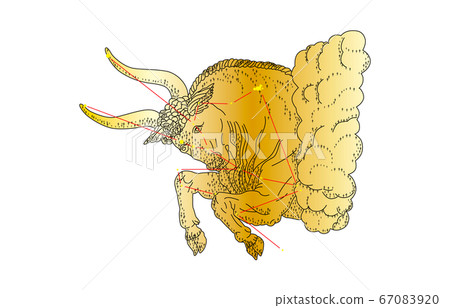 88星座與影子金牛座 88星座與影子金牛座 67083920