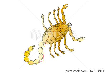 88 constellation with shadow Scorpio 88 constellation with shadow Scorpio 67083941