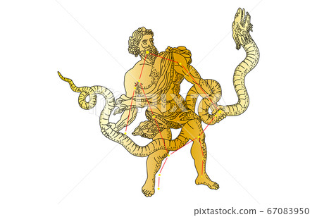 88 constellation with shadow Ophiuchus 88 constellation with shadow Ophiuchus 67083950