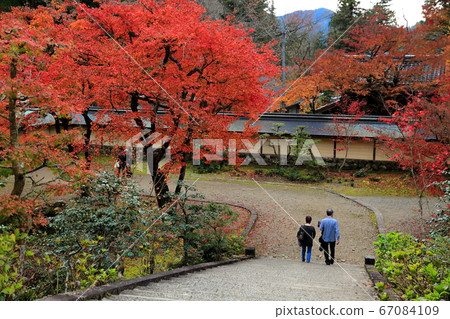 谷淺山華嚴寺,秋天有76種顏色(岐阜縣I美郡比美川町穀神) 谷淺山華嚴寺,秋天有76種顏色(岐阜縣I美郡比美川町穀神) 67084109