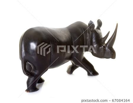 .rhinoceros trinket in studio 67084164