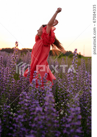 Young pretty woman wearing red dress posing in fields with violet flowers outdoor 67084335